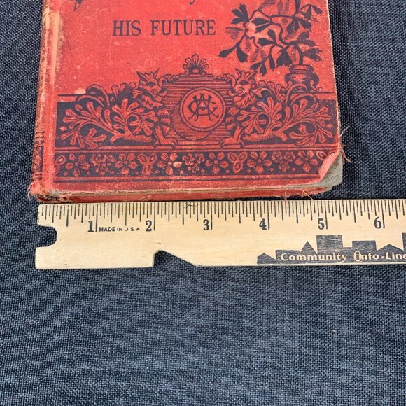 Our Brother in Black: His Freedom and His Future 1887 HAYGOOD, Atticus G. - Picture 16 of 16